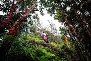 BIB: 
                            <button type="button" onclick="openModal(26201600)" class="btn btn-primary btn-sm float-right btn-popup" data-toggle="modal" data-target=".modal-high-quality">
                        <i class="fas fa-shopping-cart"></i> Add to Cart
                    </button>
                                            <button type="button" onclick="isThisMe(26201600, true)" class="btn btn-success btn-sm float-right btn-popup btn-isme hidden" data-toggle="tooltip" data-placement="bottom" title="นี่คือรูปของคุณใช่ไหม คลิกที่นี่เพื่อเอาเข้าอัลบั้ม">
                        <i class="fas fa-plus"></i> Add to album
                    </button>
                    <button type="button" onclick="isThisMe(26201600, false)" class="btn btn-warning btn-sm float-right btn-popup btn-isnotme hidden">
                        <i class="fas fa-ban"></i> Remove from album
                    </button>